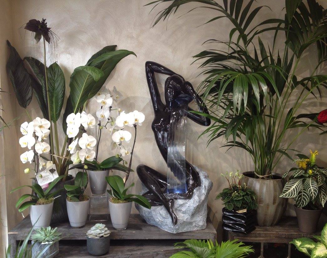 Plantes vertes et fleuries - Yoga Fleurs